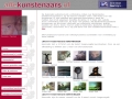 www.allekunstenaars.nl