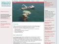 www.nado.nu